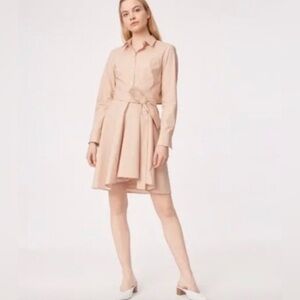 Club Monaco Shapira Dress